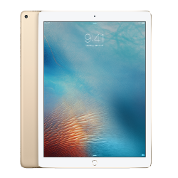 iPad Pro 12.9 1st Gen